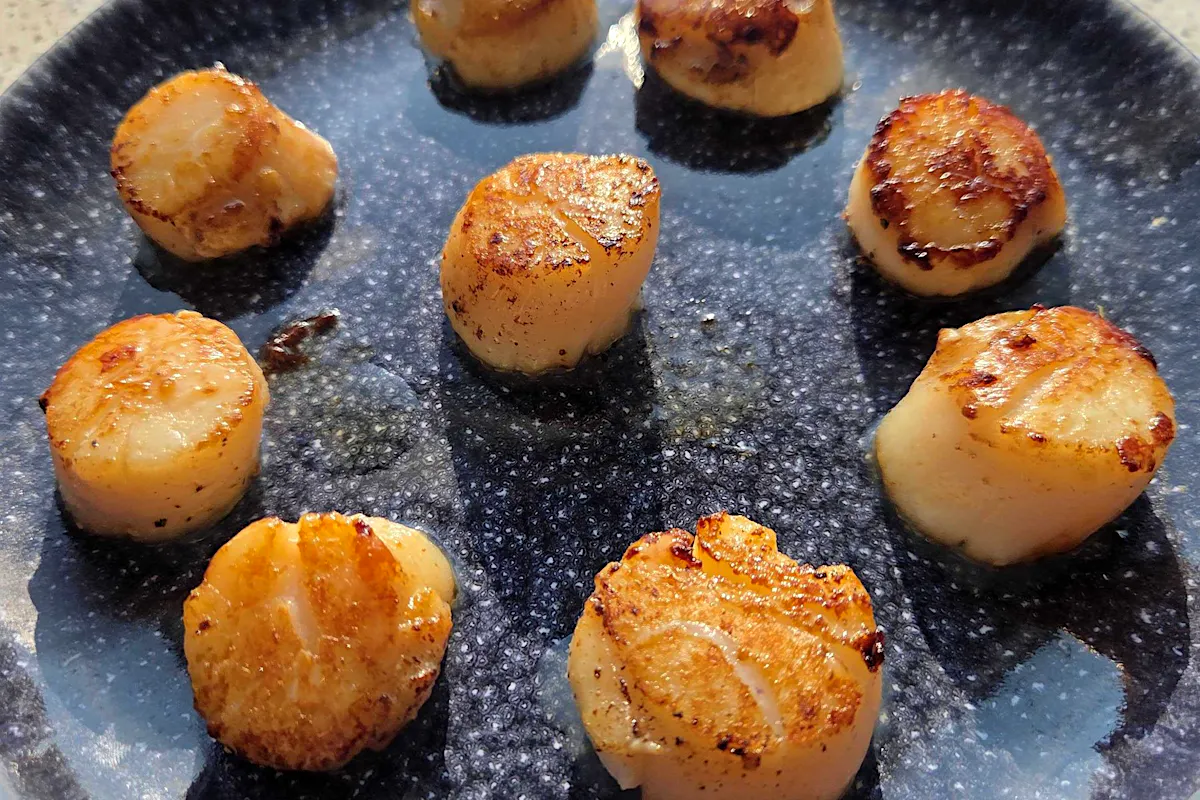 Pan-seared scallops with golden crusts on a blue speckled plate