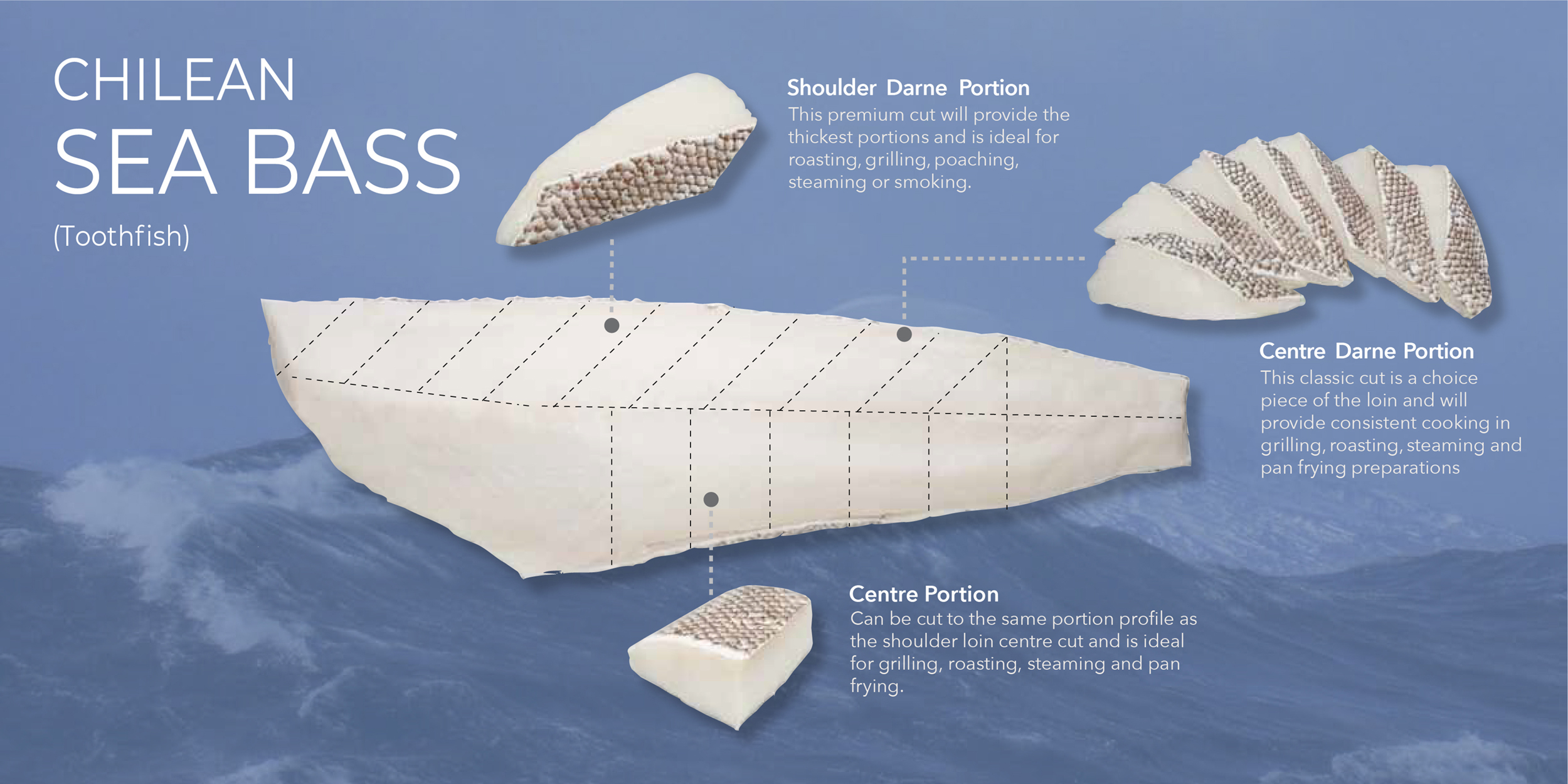 Chilean Seabass Cut Guide