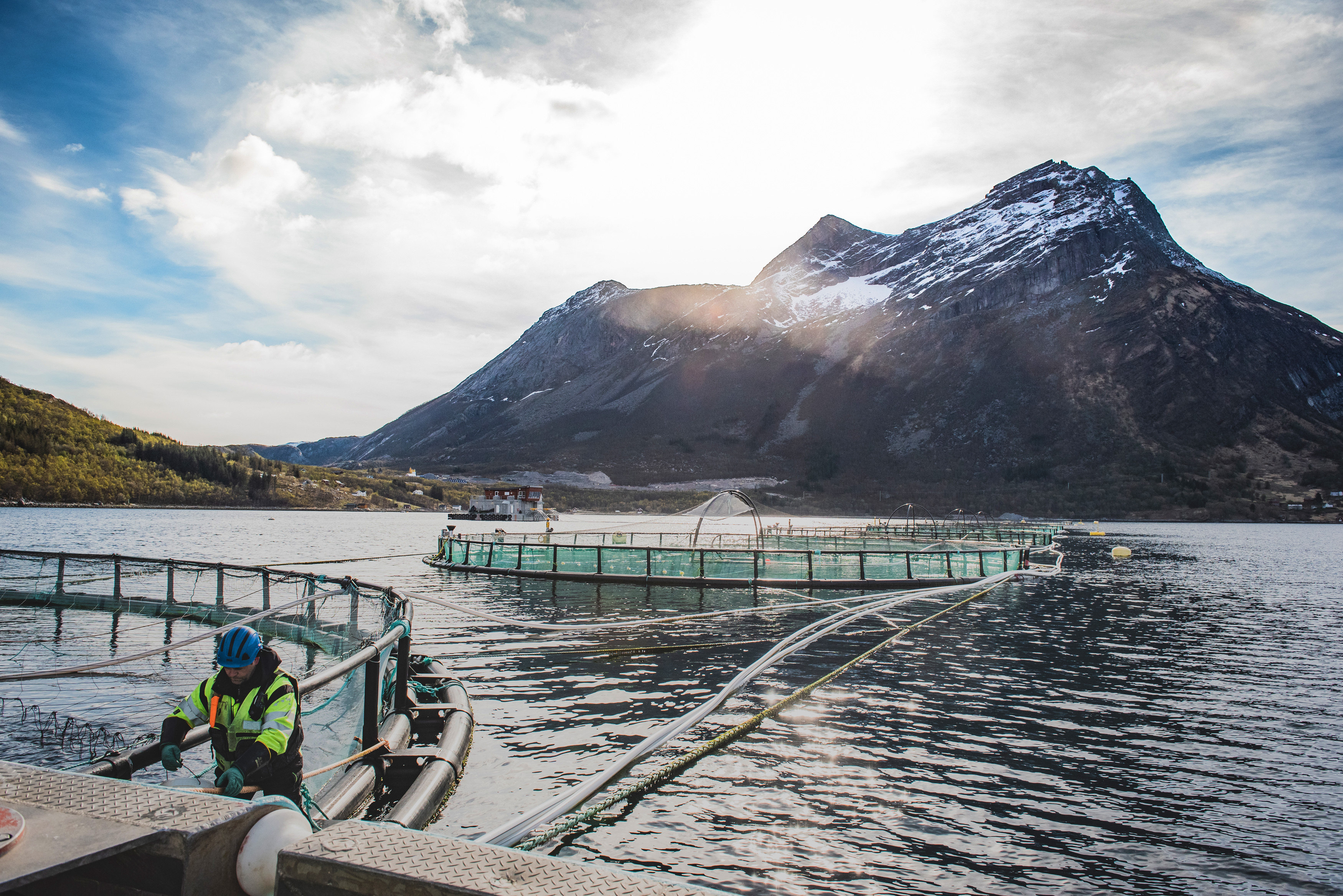Taste the Difference of Sustainable Seafood