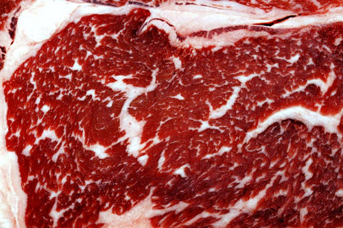 Close-up of heavily marbled raw beef