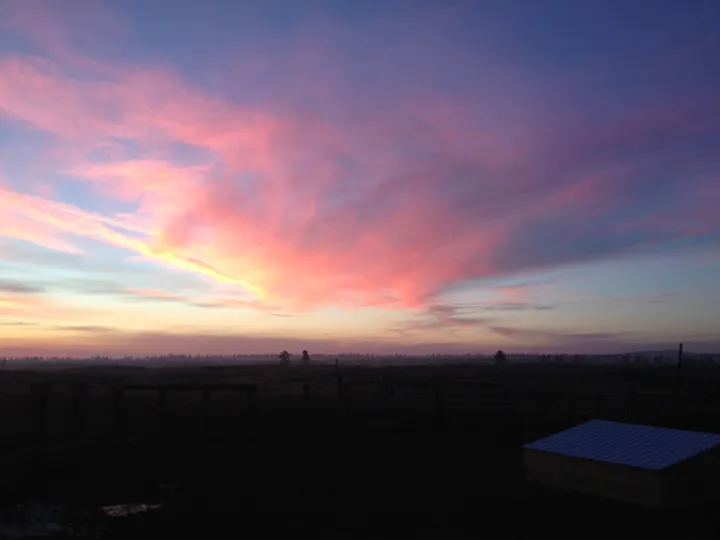Sunset over Scablands Farm