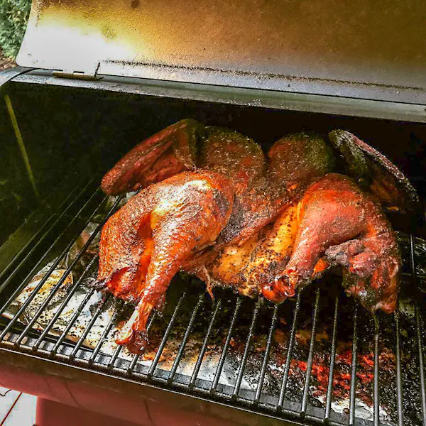 A whole turkey with deep mahogany skin on the grate of a smoker