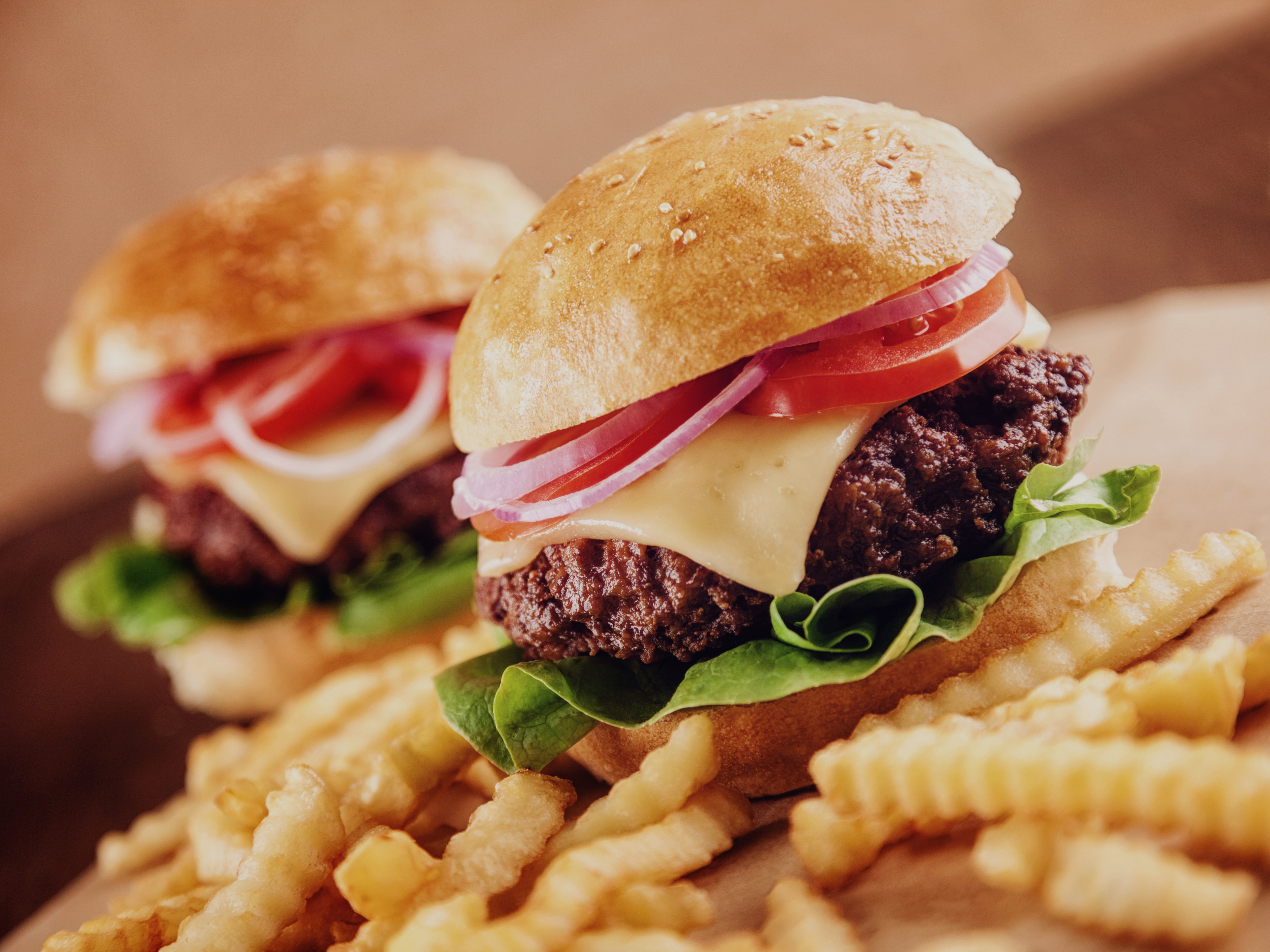 Bison Burger with Caramelized Onions
