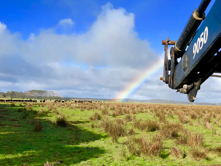 Rainbow over Westmore Pastoral