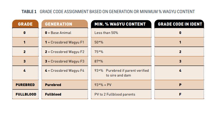 Table of Australian Wagyu grade codes: grades 0 to 4 for crossbred F1 to F4 with minimum Wagyu content from under 50% up to 93%+, plus Purebred and Fullblood.