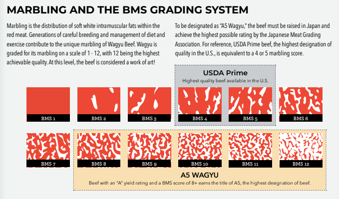 Infographic of the BMS marbling scale from BMS 1 to BMS 12, showing USDA Prime covering BMS 4 to 5 and A5 Wagyu covering BMS 8 and above.