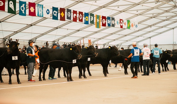 Kagoshima Farms