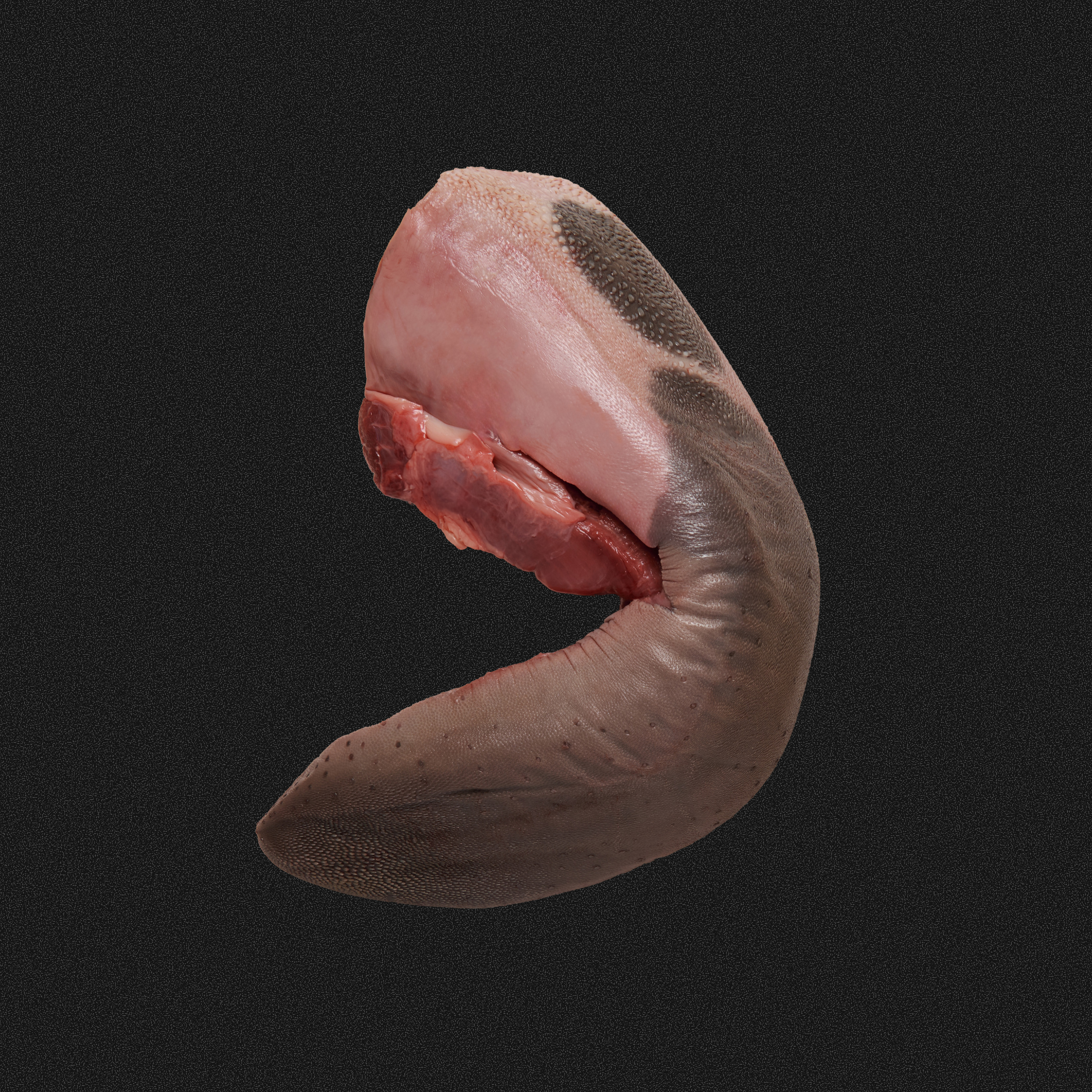 Image of Beef Tongue