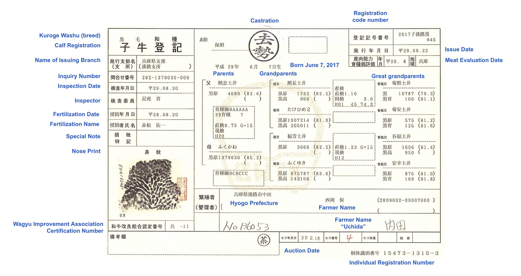 Japanese Kobe Beef Nose Print Certificate