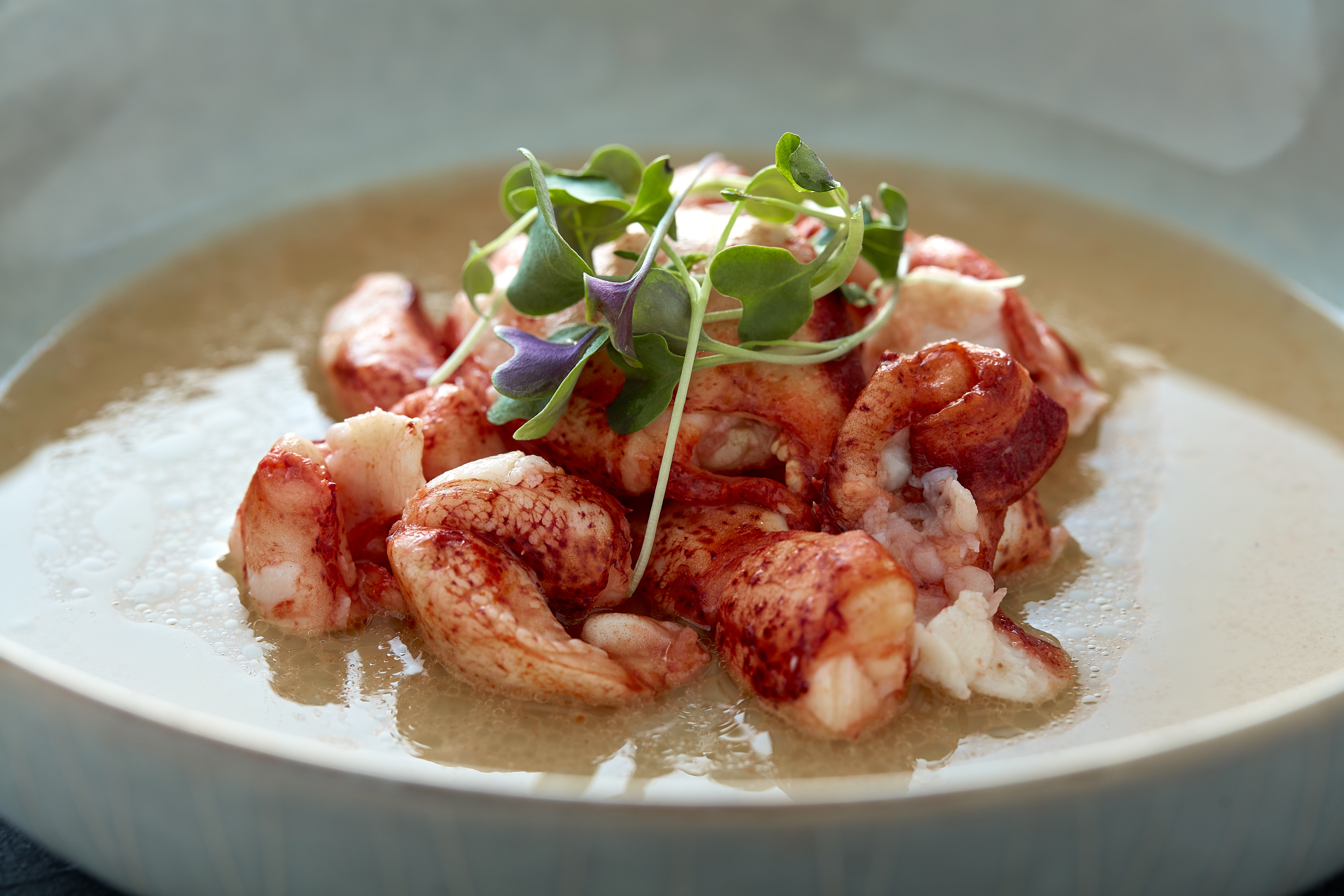 Image of Cooked Wild Caught Maine Lobster Claws & Knuckles
