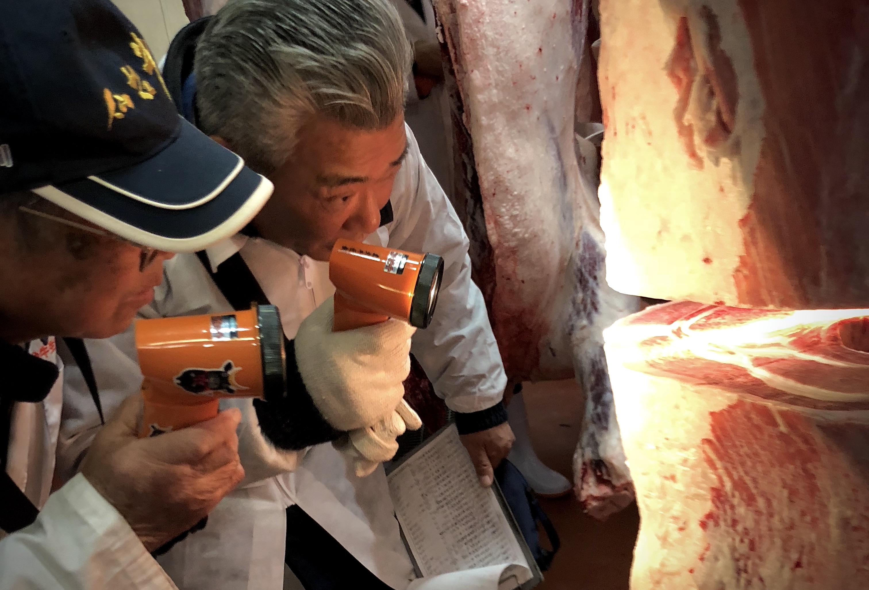 Wagyu Grading in Japan