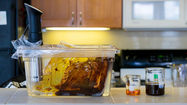 Sous Vide Cooking Set Up