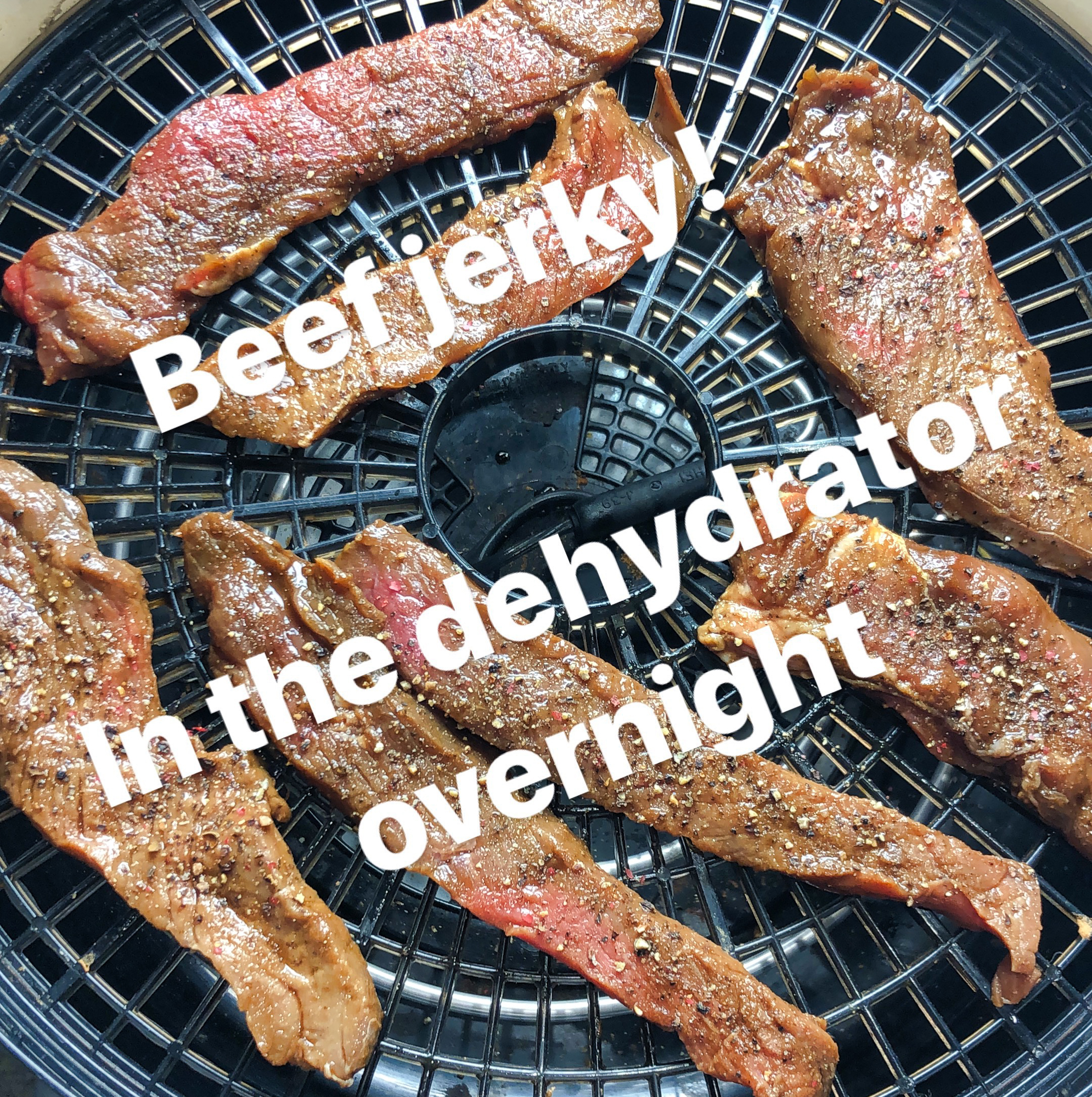 beef jerky in the dehydrator