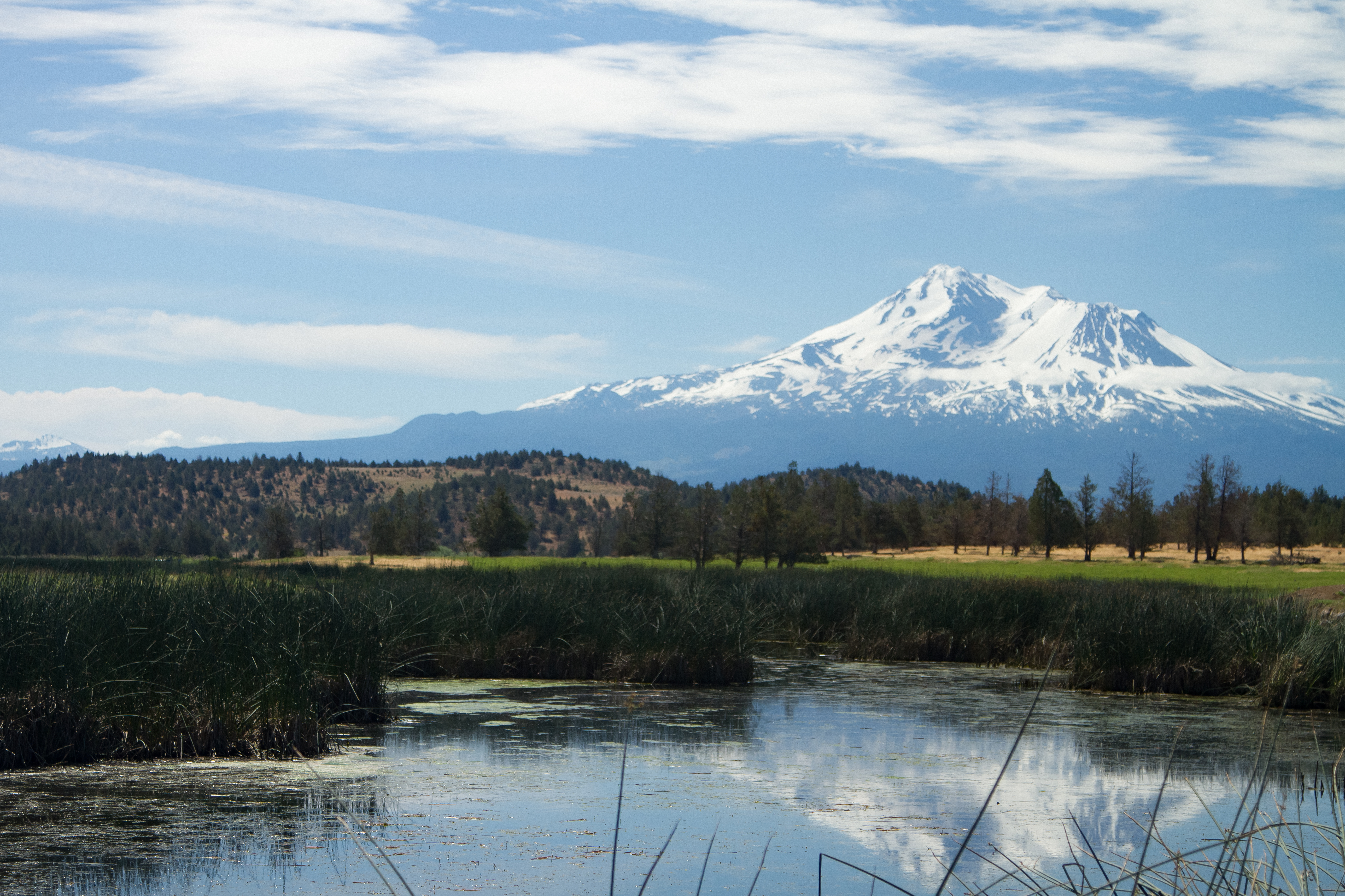 Mt Shasta