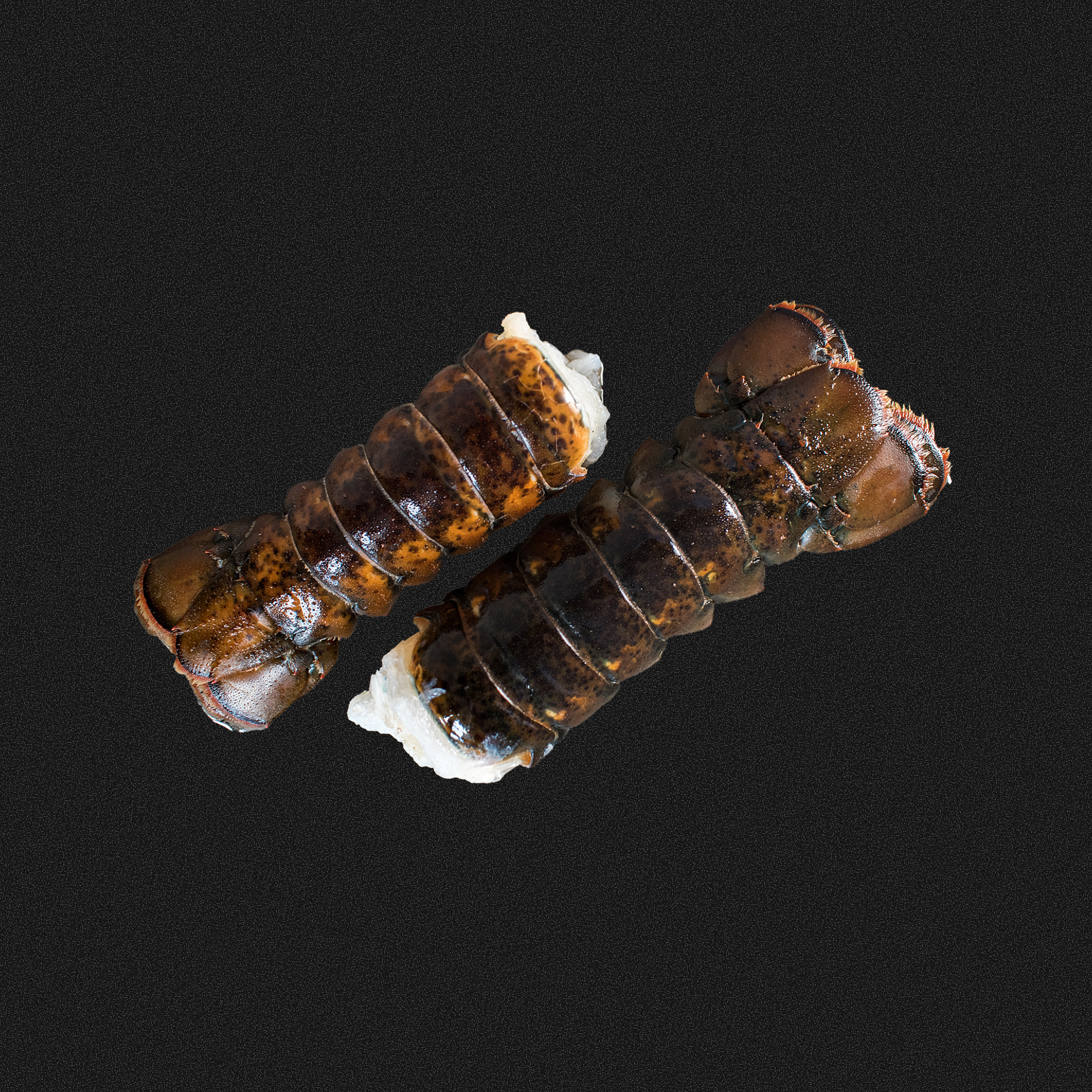 Image of  Wild Caught Maine Lobster Tail Pair