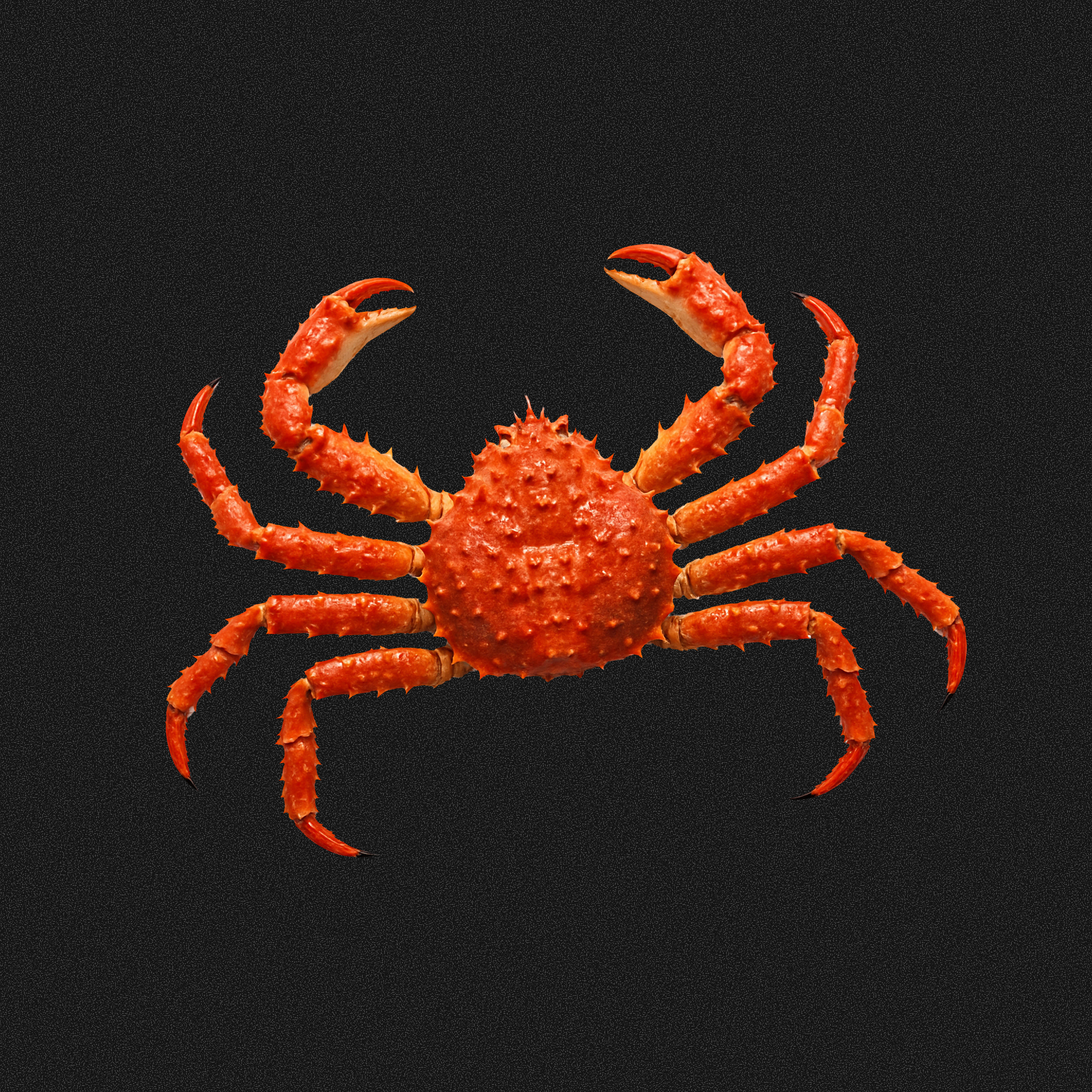 Image of Wild Alaskan Red King Crab