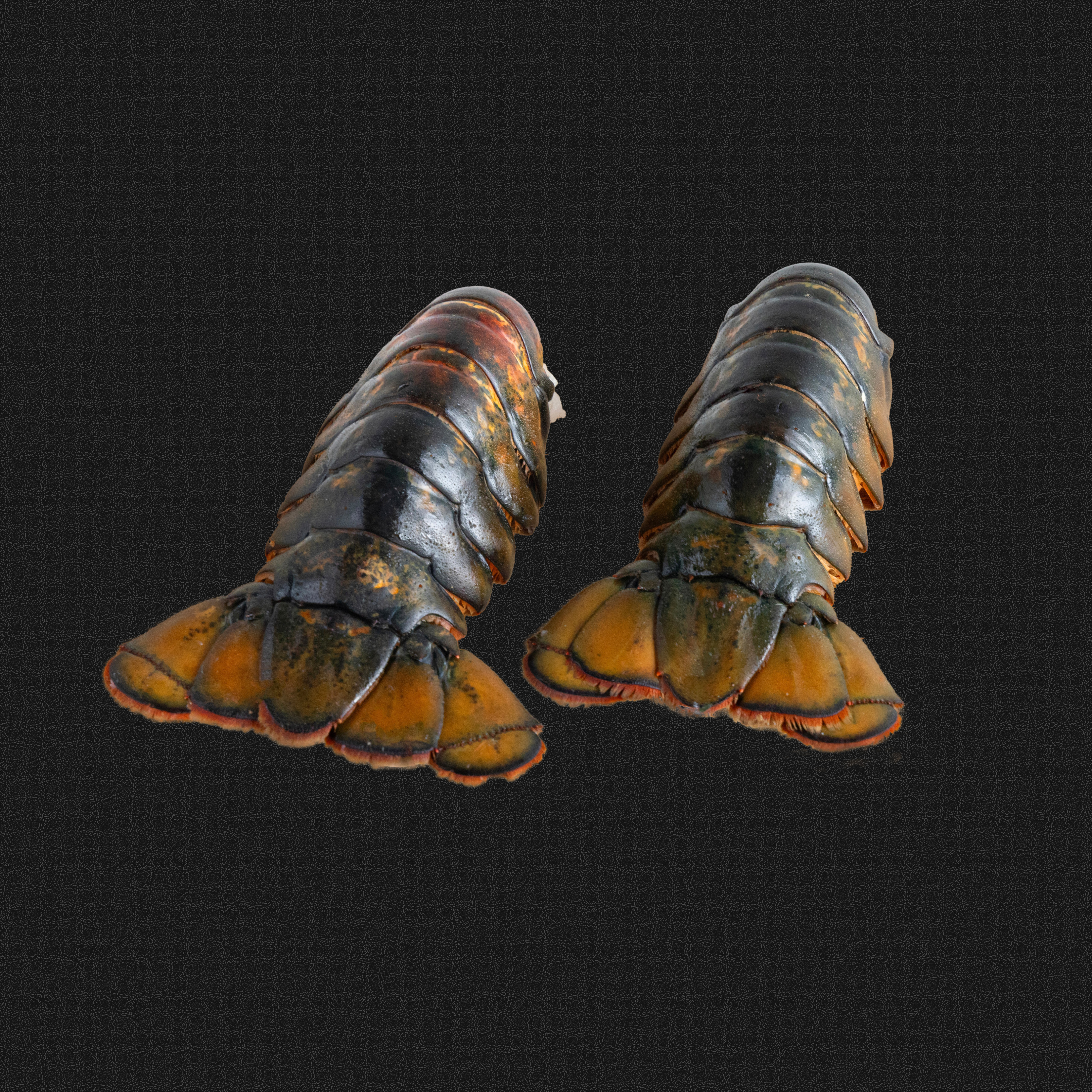 Image of Jumbo Wild-Caught Maine Lobster Tails