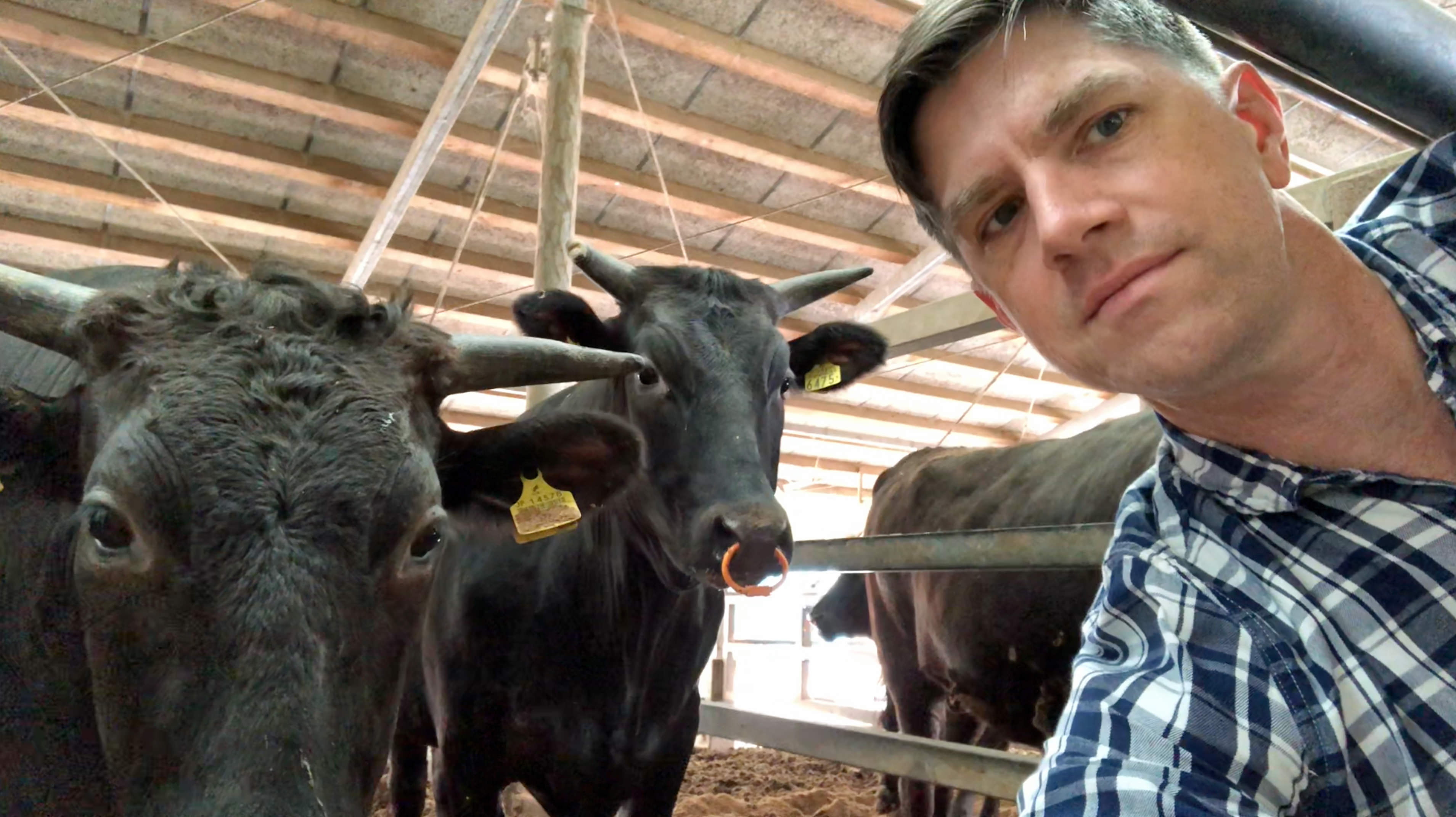 Joe in Awaji, Japan learning about Japanese Wagyu