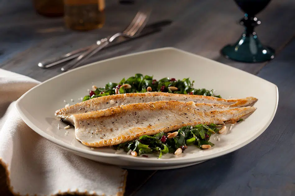 Image of Rainbow Trout