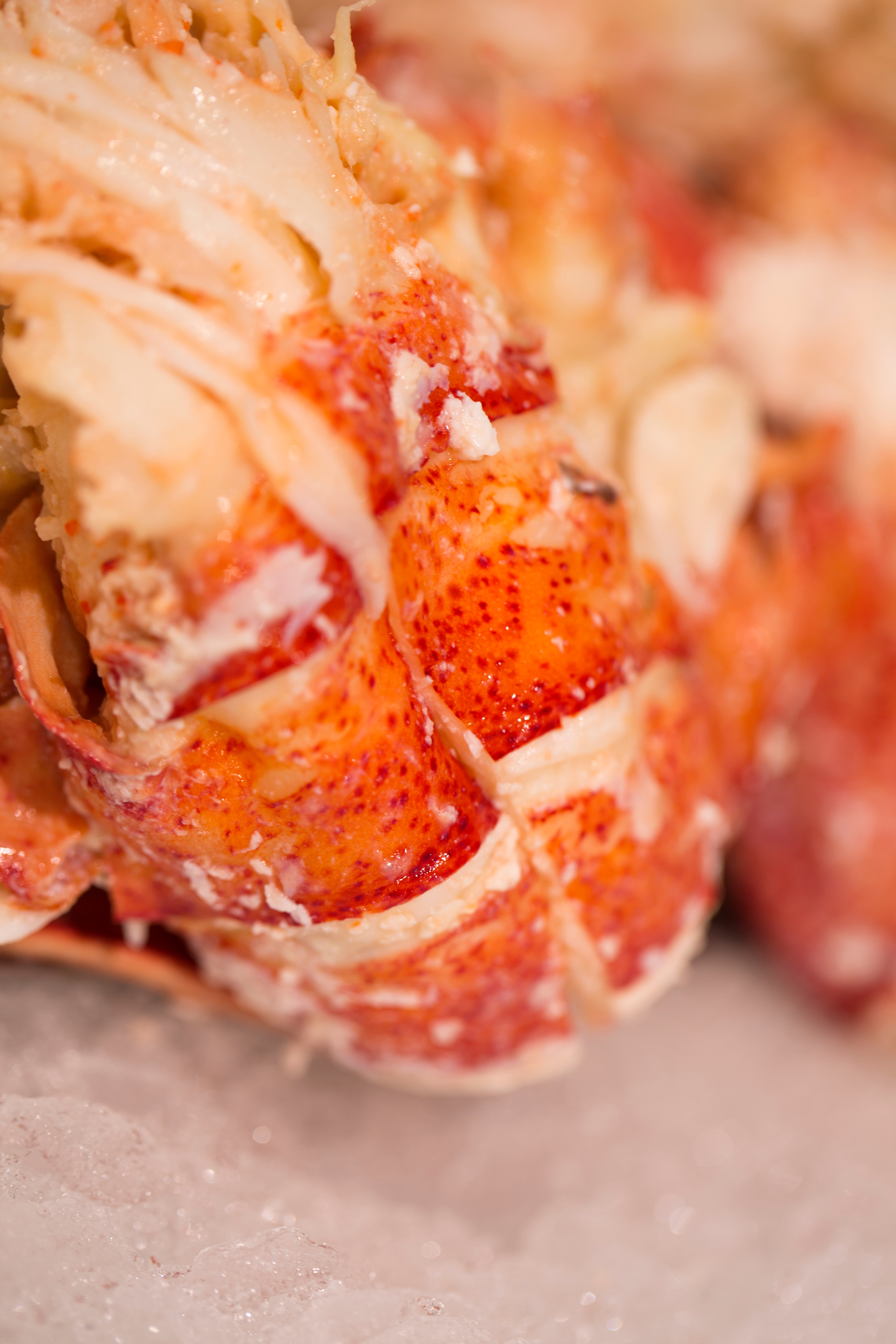 Image of Shucked Wild Caught Maine Lobster Tail Pair