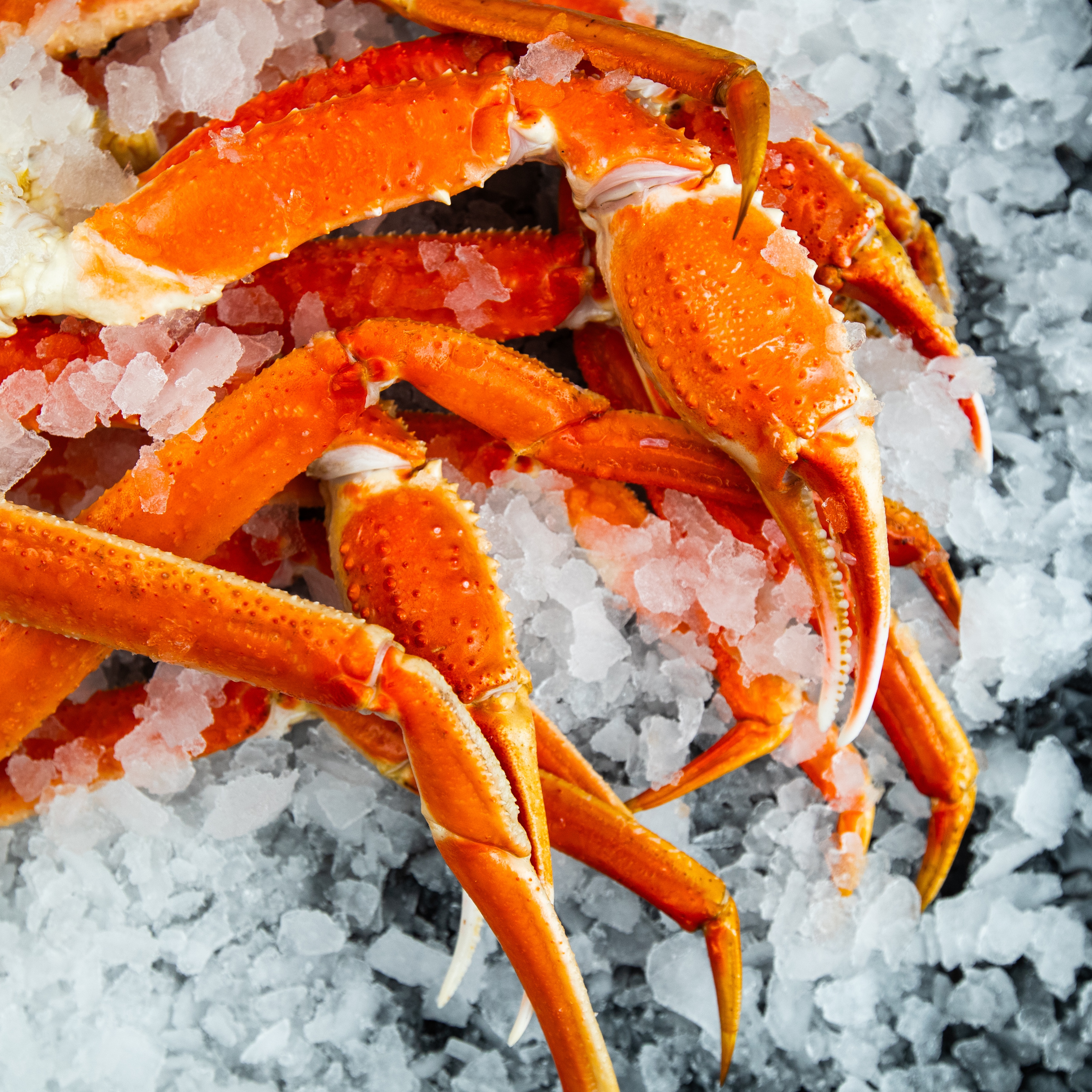 Image of Wild Alaskan Snow Crab Legs