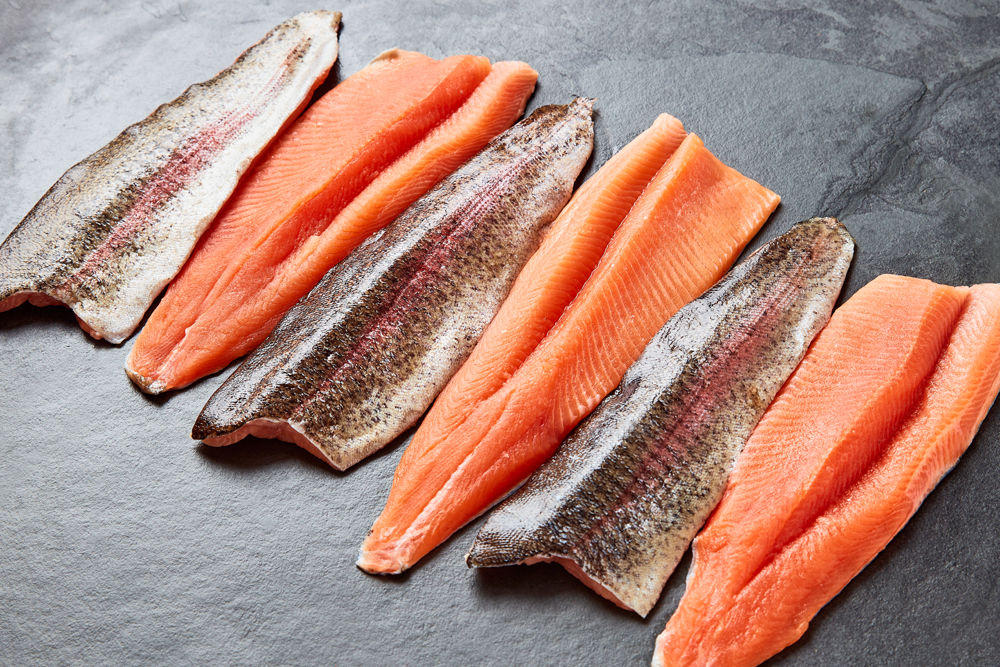 Image of Steelhead Trout Family Pack