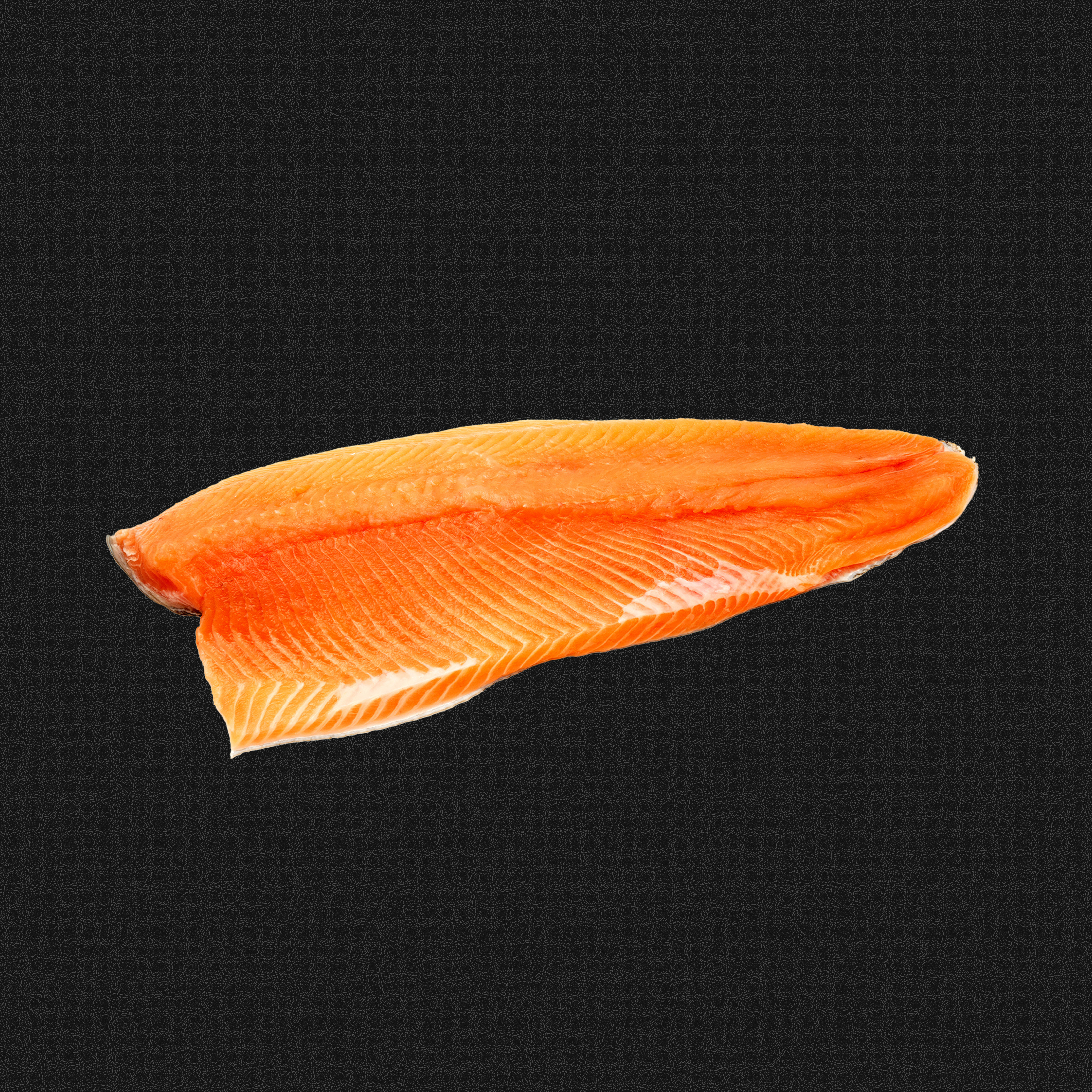 Image of Steelhead Trout Fillet