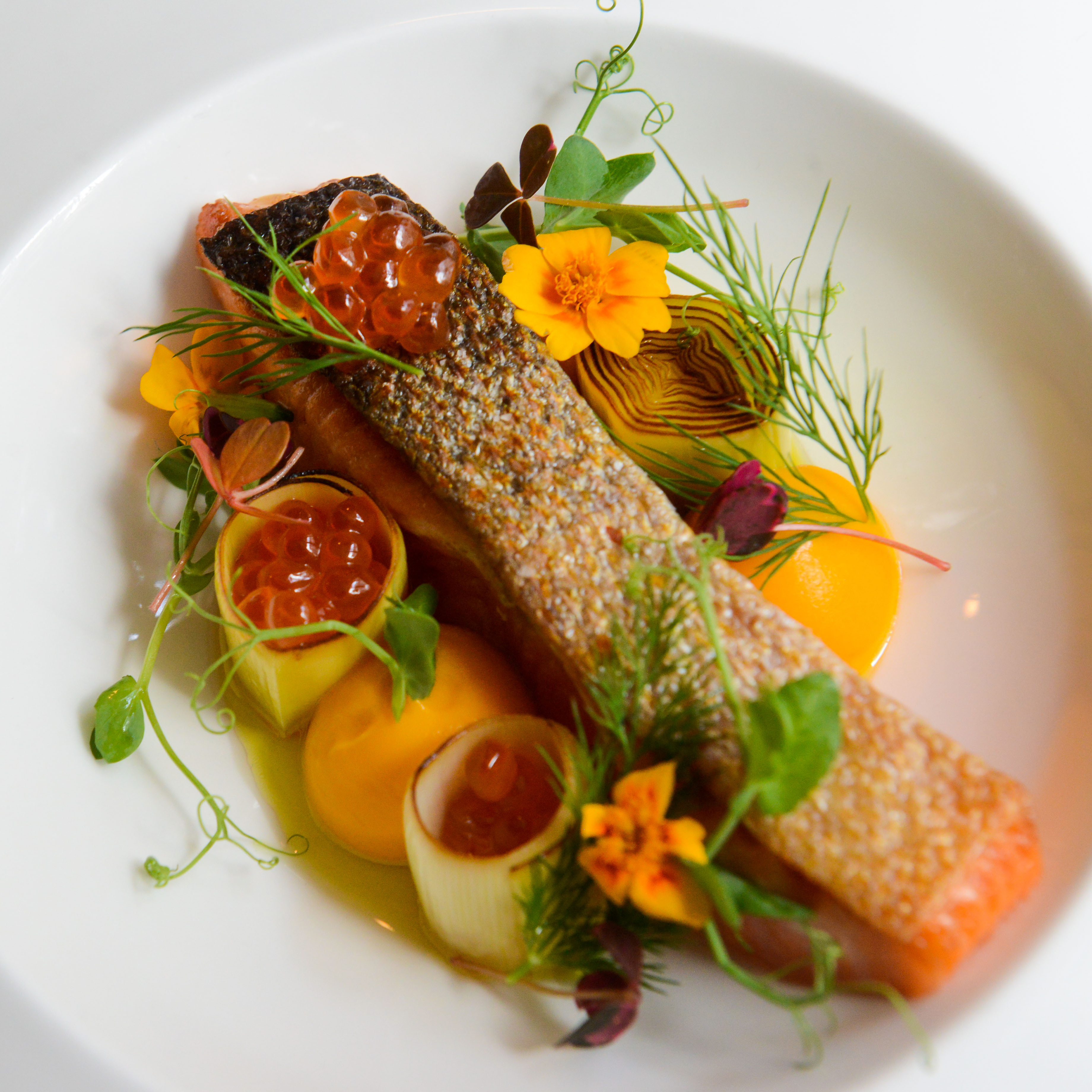 Image of Ōra King Salmon Portion
