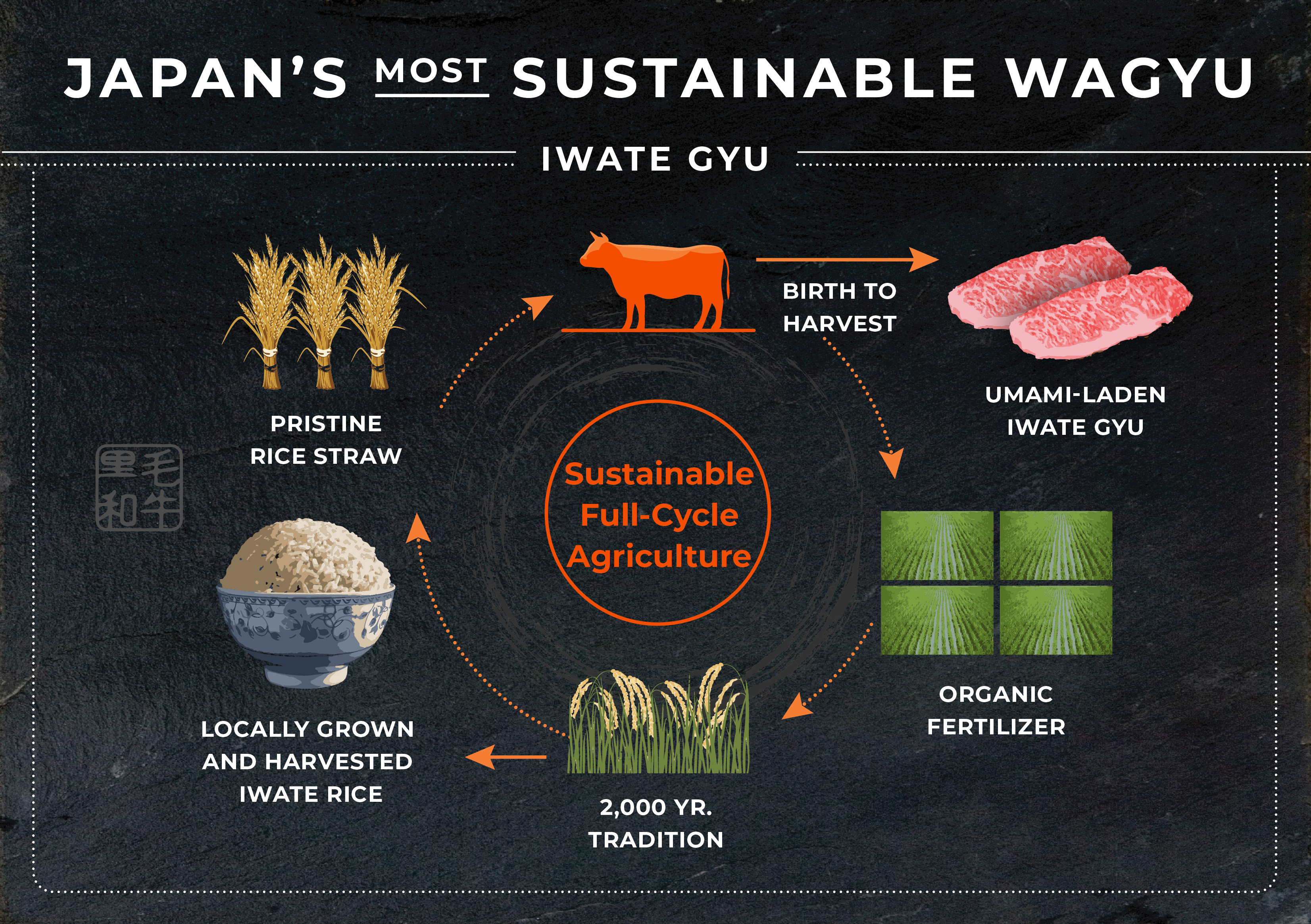 Iwate Full Cycle Agriculture